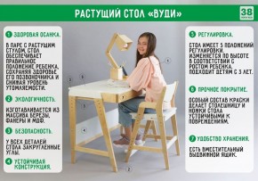 Комплект растущий стол и стул с чехлом 38 попугаев «Вуди» (Белый, Береза, Ромбы) в Кунгуре - kungur.mebel-74.com | фото
