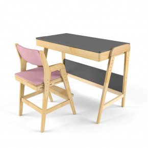 Комплект растущий стол и стул с чехлом 38 попугаев «Вуди» (Серый, Береза, Розовый) в Кунгуре - kungur.mebel-74.com | фото