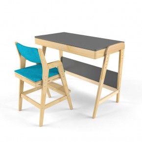 Комплект растущий стол и стул с чехлом 38 попугаев «Вуди» (Серый, Без покрытия, Лазурь) в Кунгуре - kungur.mebel-74.com | фото