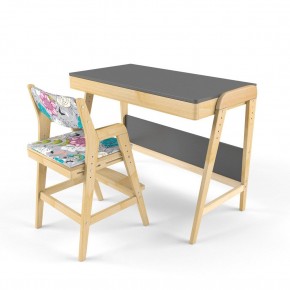 Комплект растущий стол и стул с чехлом 38 попугаев «Вуди» (Серый, Без покрытия, Мечта) в Кунгуре - kungur.mebel-74.com | фото