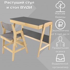 Комплект растущий стол и стул с чехлом 38 попугаев «Вуди» (Серый, Без покрытия, Серый) в Кунгуре - kungur.mebel-74.com | фото