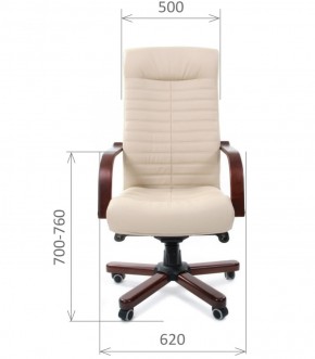 Кресло для руководителя CHAIRMAN 480 N WD (Экокожа) в Кунгуре - kungur.mebel-74.com | фото