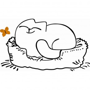 Кровать двухуровневая Кот № 900.1 ЛЕВАЯ (туя светлая/белый) в Кунгуре - kungur.mebel-74.com | фото