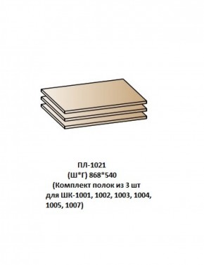 ПЛ-1021 (Комплект полок из 3 шт для ШК-1001, 1002, 1003, 1004, 1005, 1007) в Кунгуре - kungur.mebel-74.com | фото