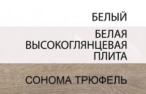 Шкаф 2D/TYP 20A, LINATE ,цвет белый/сонома трюфель в Кунгуре - kungur.mebel-74.com | фото