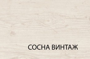Шкаф 3DG2S, MAGELLAN, цвет Сосна винтаж в Кунгуре - kungur.mebel-74.com | фото