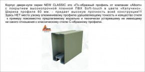 Шкаф-купе 1700 серии NEW CLASSIC K3+K3+B2+PL1 (2 ящика+1 штанга) профиль «Капучино» в Кунгуре - kungur.mebel-74.com | фото