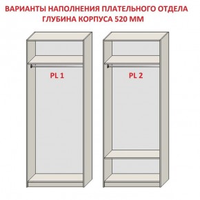 Шкаф распашной серия «ЗЕВС» (PL3/С1/PL2) в Кунгуре - kungur.mebel-74.com | фото