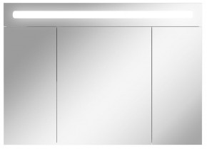 Шкаф-зеркало Аврора 100 с подсветкой LED Домино (DV8012HZ) в Кунгуре - kungur.mebel-74.com | фото