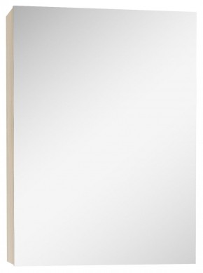 Шкаф-зеркало Мечта 40 Дуб сонома АЙСБЕРГ (DM2317HZ) в Кунгуре - kungur.mebel-74.com | фото
