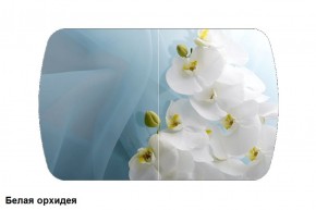 Стол Бостон 2 (1100*700) опоры Брифинг (Стекло/фотопечать Белая орхидея) в Кунгуре - kungur.mebel-74.com | фото